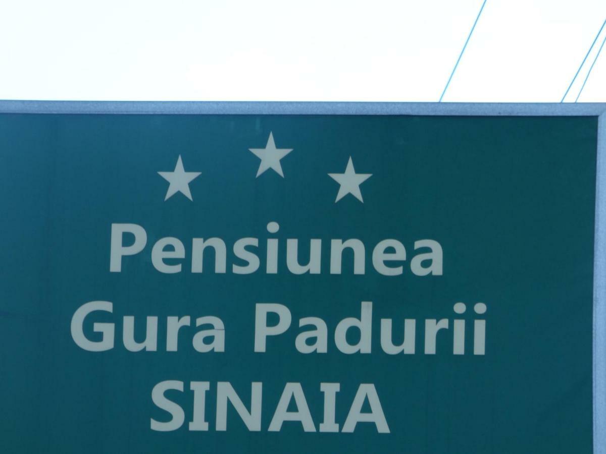 Gura Padurii Sinaia Exterior foto