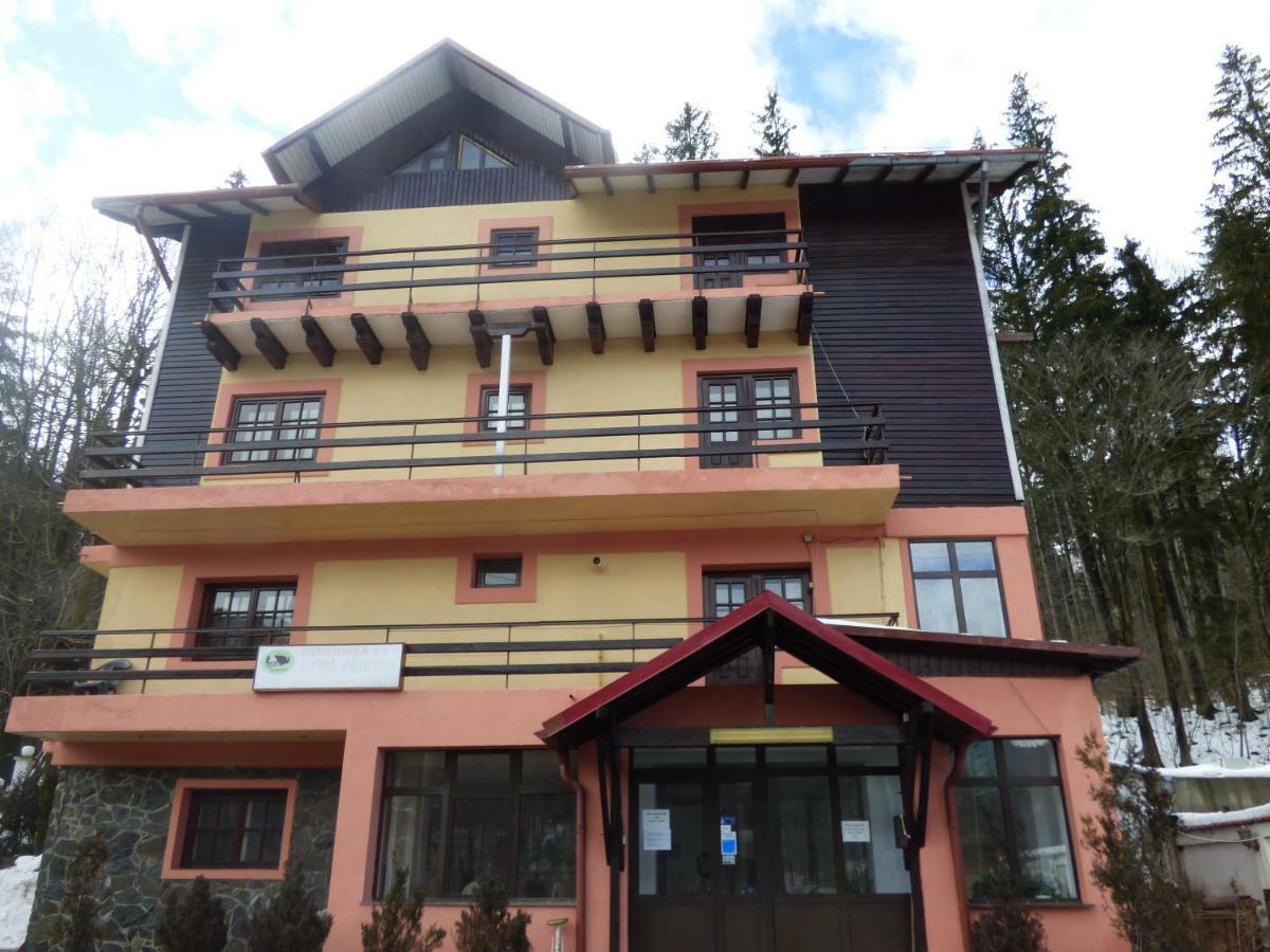 Gura Padurii Sinaia Exterior foto